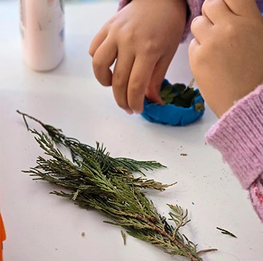 Descubriendo la naturaleza con Montessori